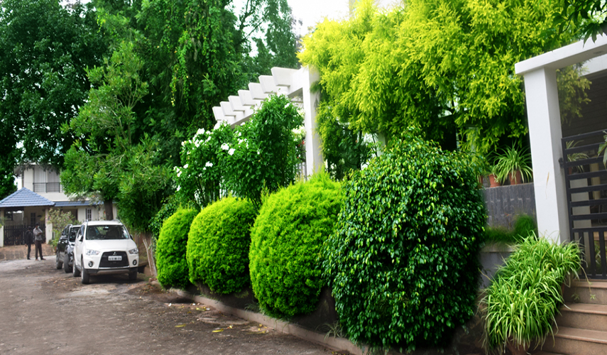 Ferns Residency