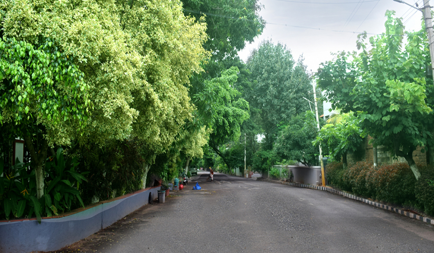 Ferns Residency