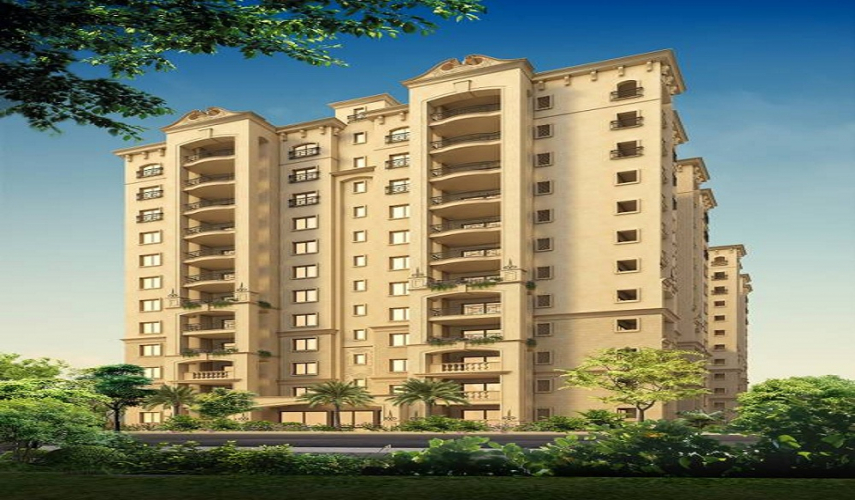 Legacy Saviero