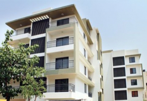 Legacy Soreno