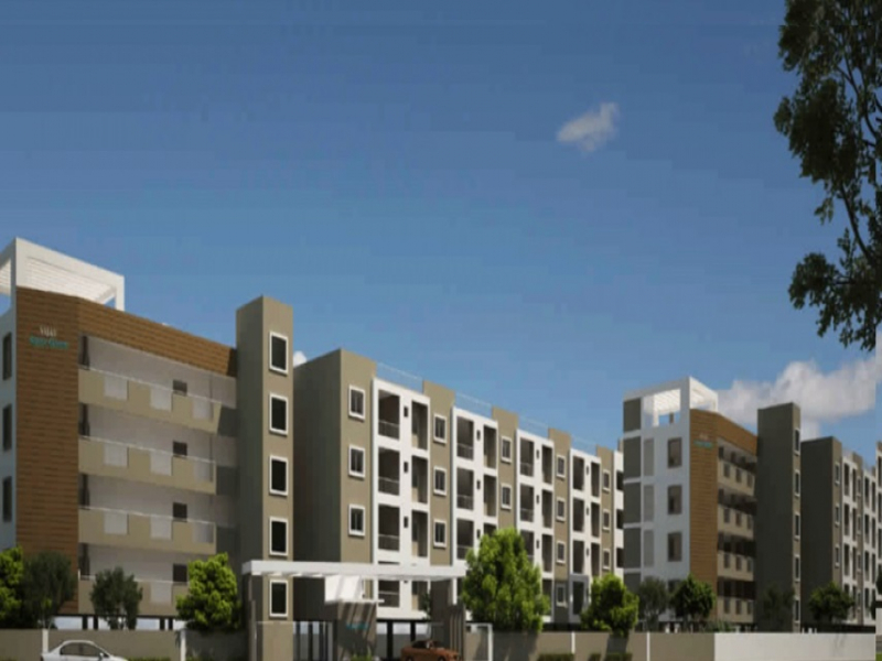 Vijaya Aqua Green