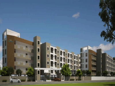 Vijaya Aqua Green