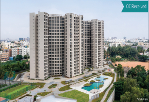 Orchid Whitefield