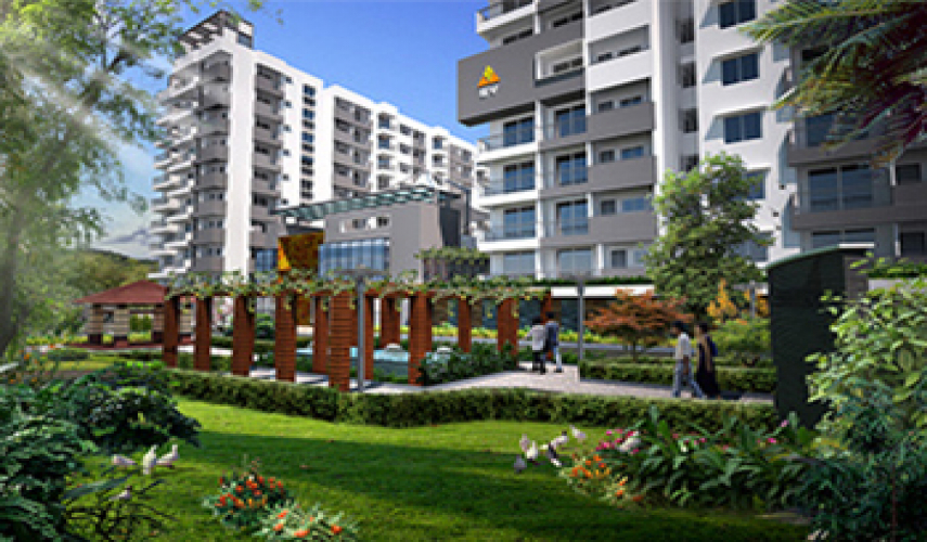 SV Signature