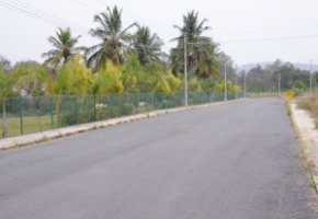 Sri Sai Nagar