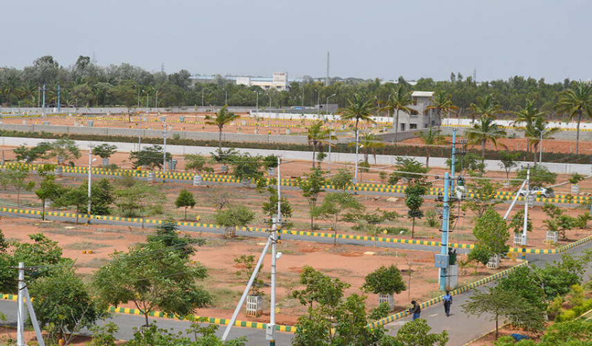 SJ Green Meadows