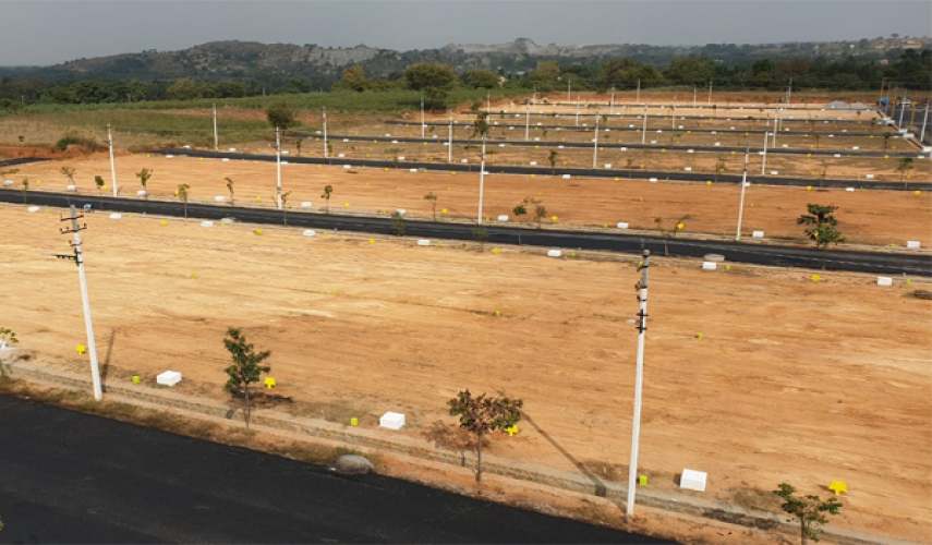 Vasudha SLV Wonder Woods