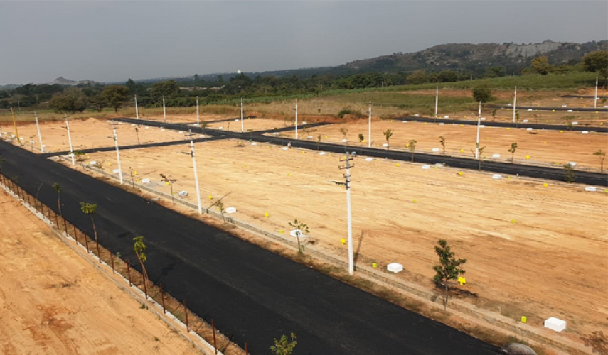 Vasudha SLV Wonder Woods