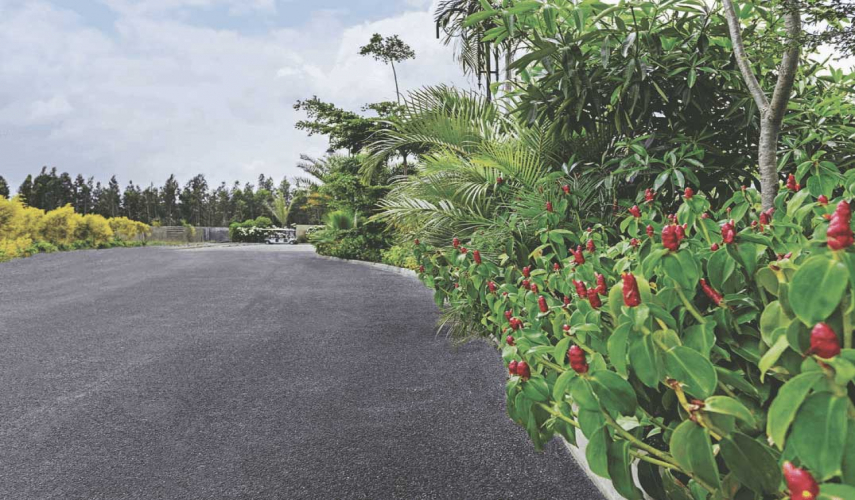 Ecocity