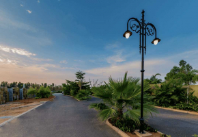 Ecocity