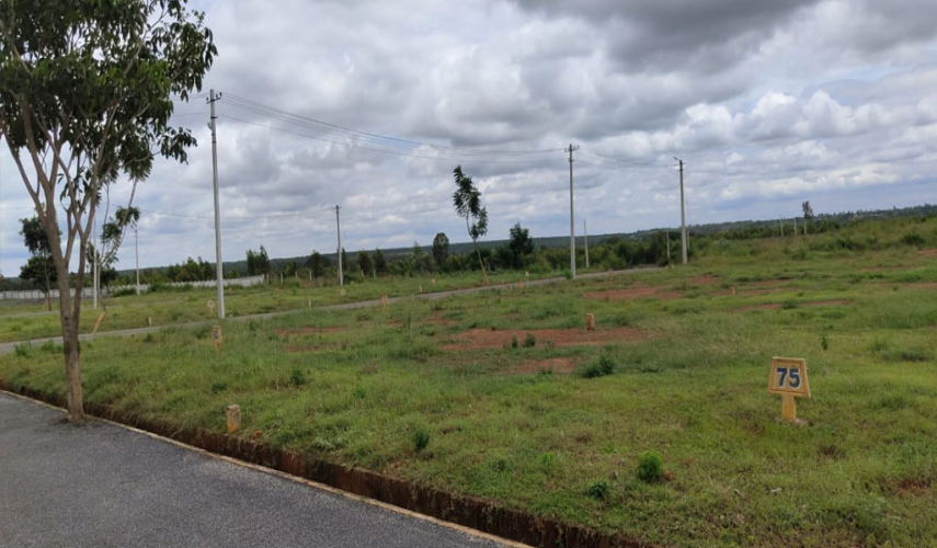Svamitva Sylvia City