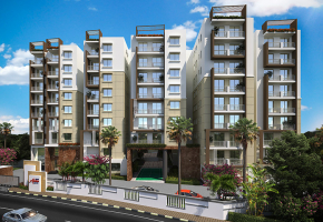 Anand Alpine