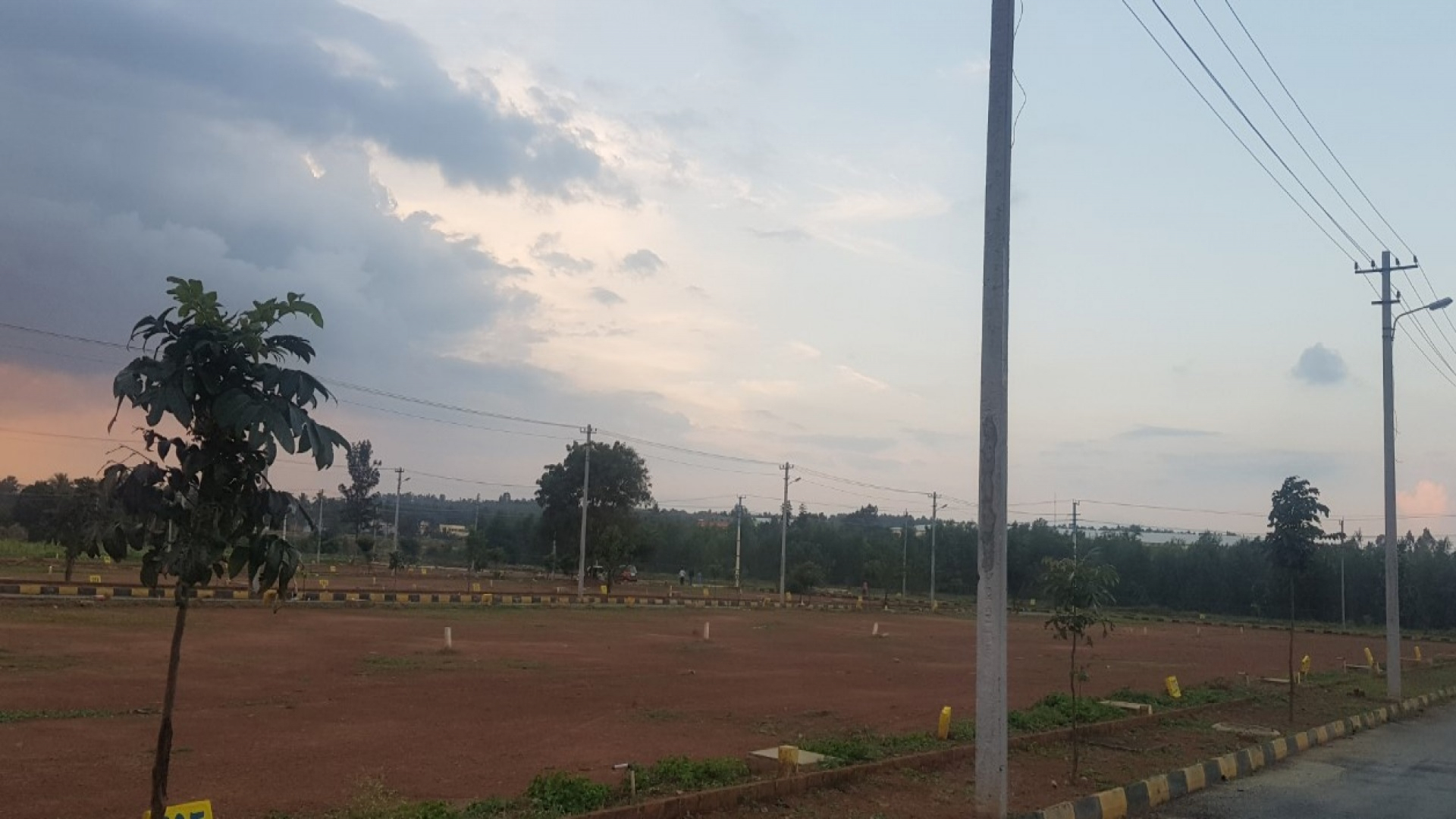 Kartheekeya Green Blossom