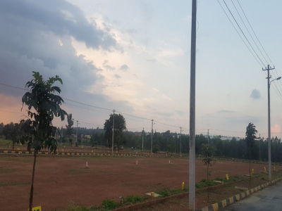 Kartheekeya Green Blossom