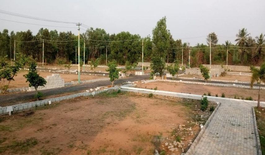Kartheekeya Oak Garden