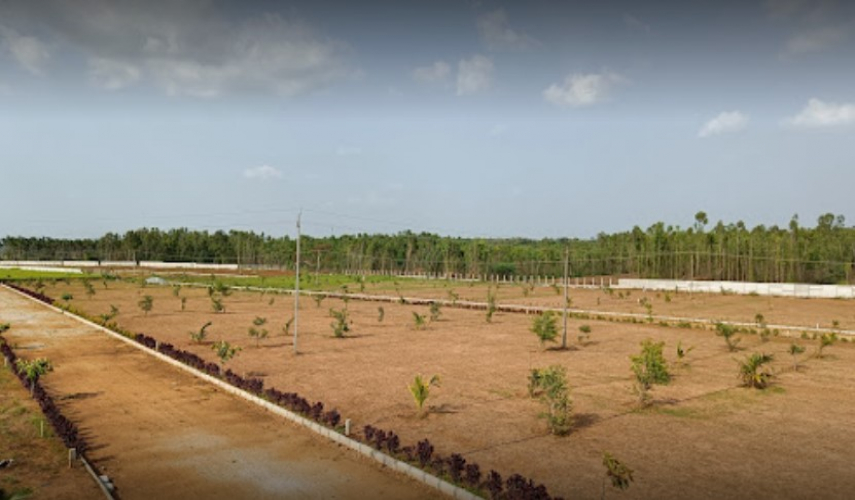 Hasiru Bhoomi