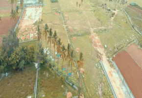 Apranje Springs