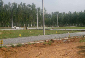 1500 - 2000 Sqft Land for sale in Electronic City