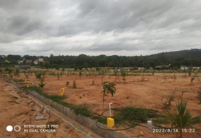 1640 - 2200 Sqft Land for sale in Bidadi