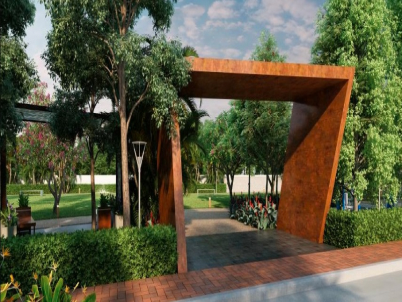 Terra Alegria