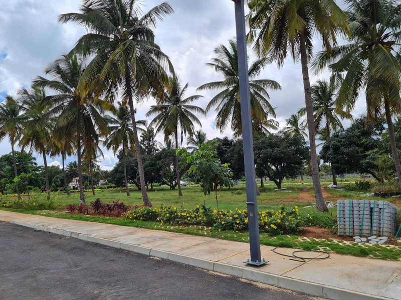 Sri Radhakrishna Gardens