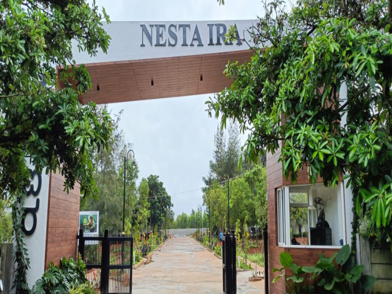 Nesta Ira