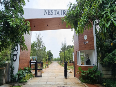 Nesta Ira