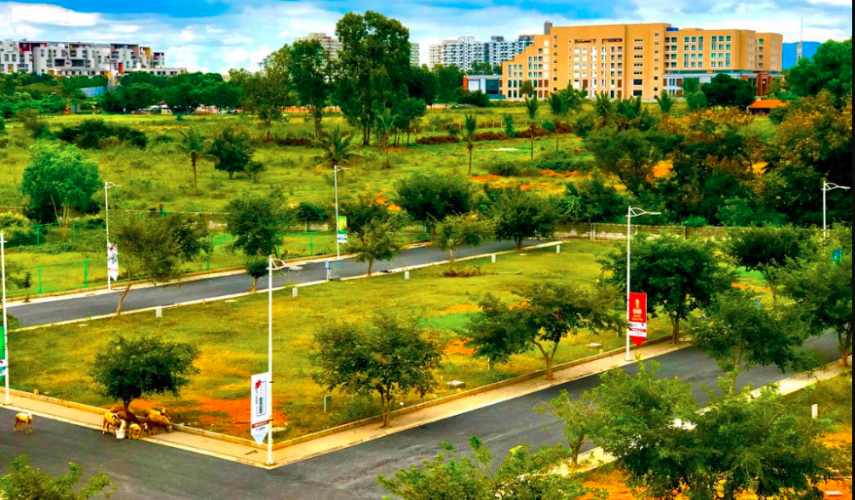 MDS Orchid Park