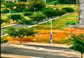 MDS Orchid Park