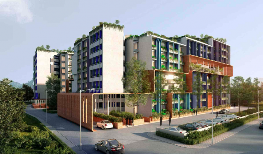 MPN Green Storeys