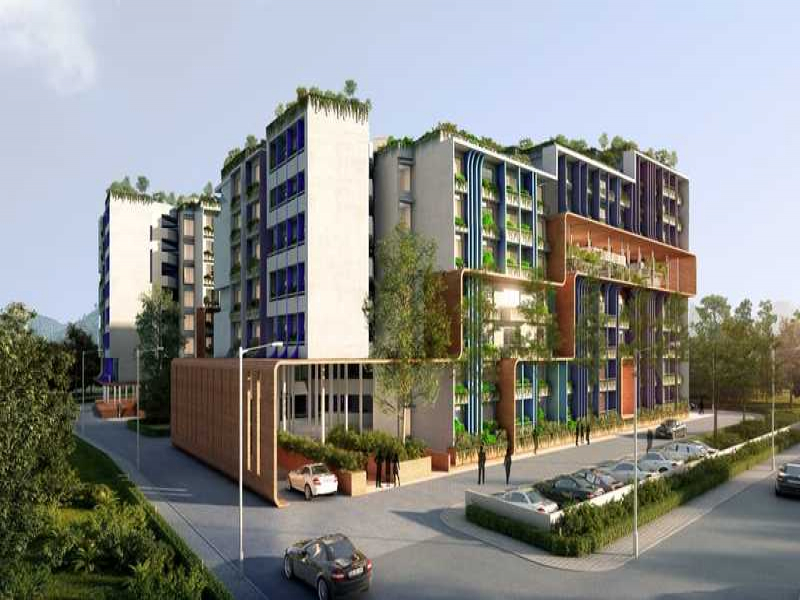 MPN Green Storeys