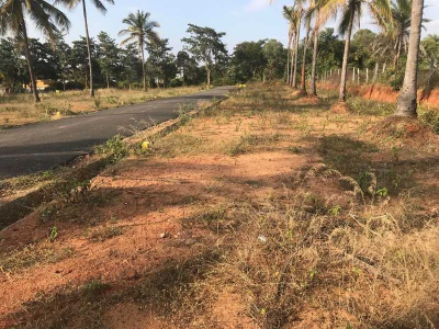 Plots for sale in Sri Datri Coconut Garden