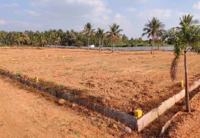 800 - 1200 Sqft Land for sale in Nelamangala