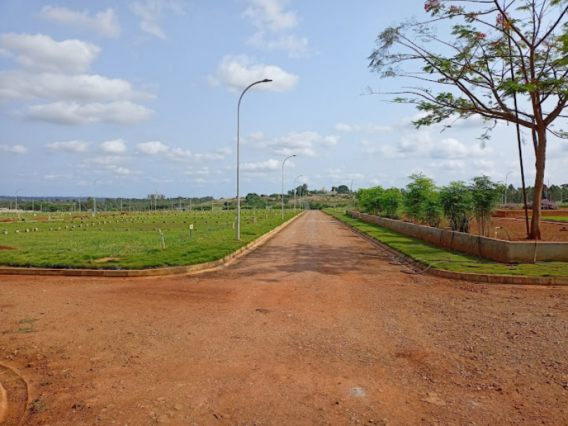 Vakil Metropolis