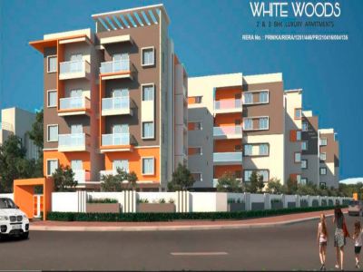 White Woods