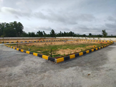 Anaaya Bliss