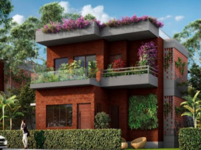 Woodsvale 1