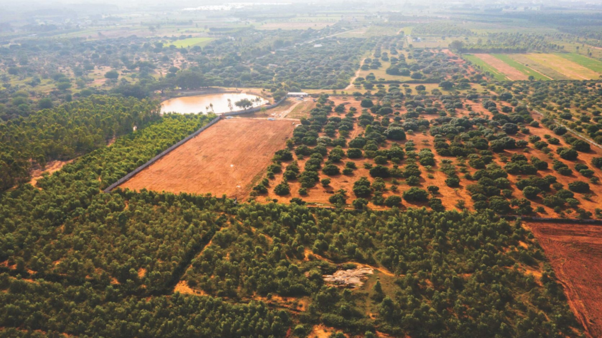 ARB Earthen