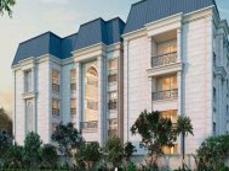GM Palazzo