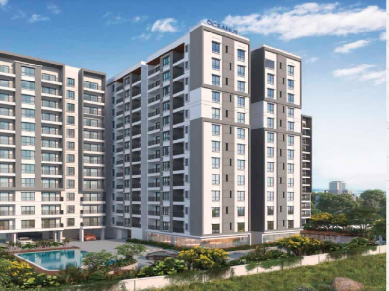 Oceanus White Meadows