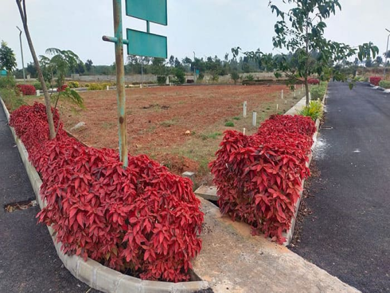 Guru Punvaanii Eka Phase 2