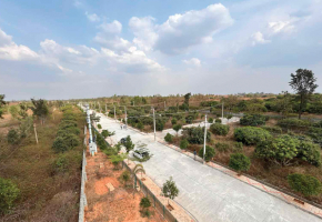 Plots for sale in Shelter Green City