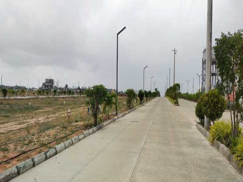 SN City