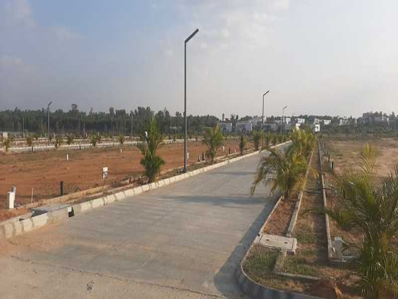 SN City