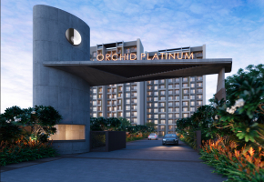 Orchid Platinum