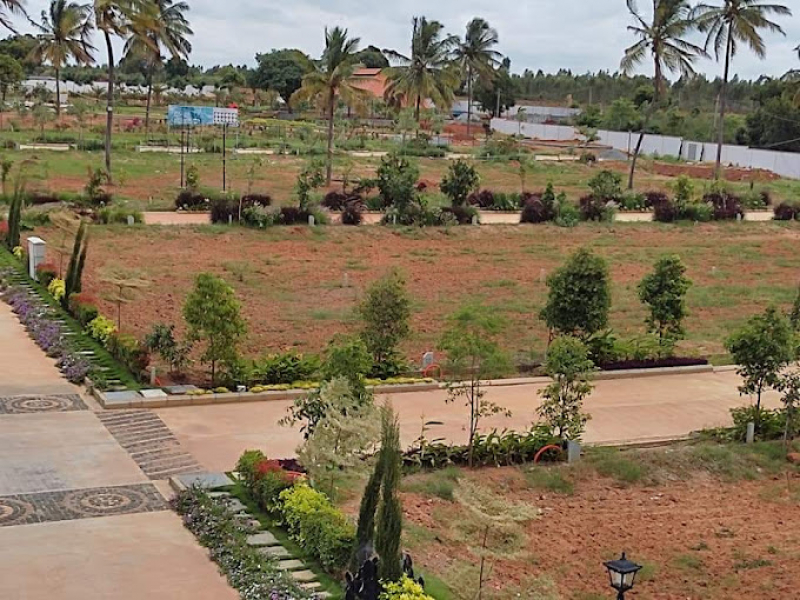 Saikam Aananda