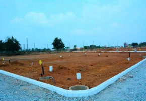 SVV Harappa Green Woods