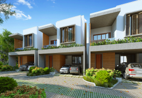 BSR Daintree