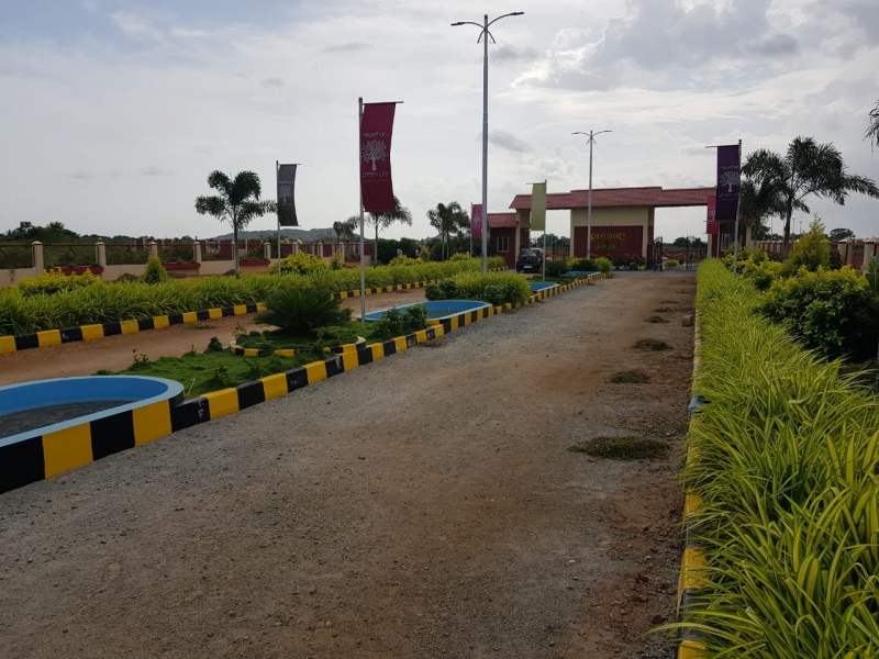 Kalpatharu