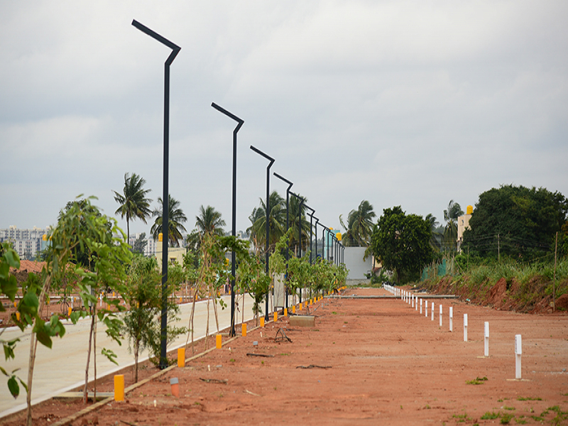 Green City